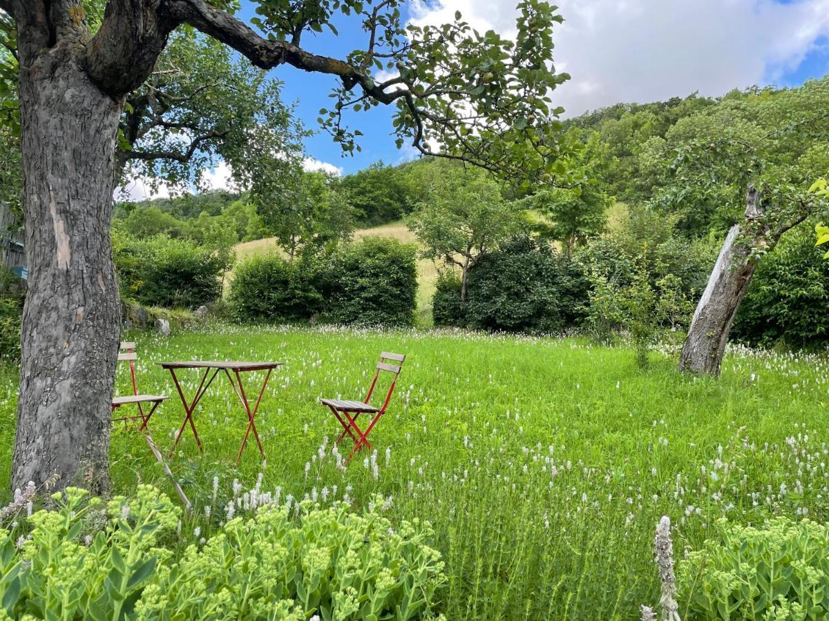 Rose Cottage Im Romantischen Taubertal Adelshofen  Εξωτερικό φωτογραφία